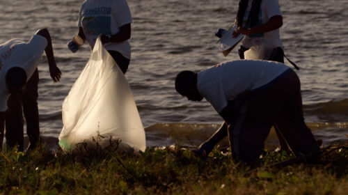 A group of people collecting trash on the beach