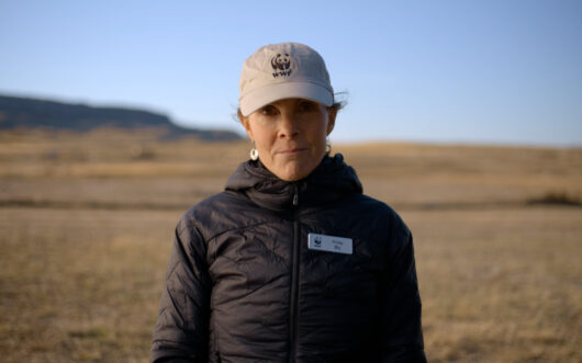 A woman wearing a beige baseball cap and a black jacket stands in a grassy field.