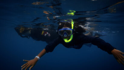 A snorkeler in the water.