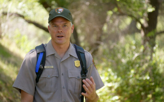 A middle-aged man in a baseball cap and t-shirt stands in front of a forest.