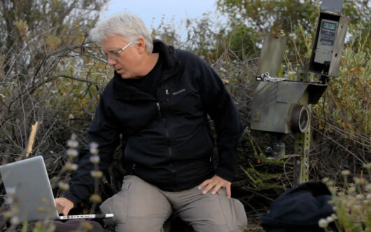 A man with white hair and glasses looks, wearing a black hoodie, sits outside looking at a computer.