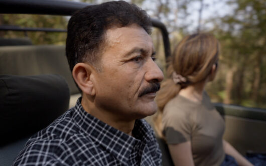 Dr. Himmat Negi has spent decades working to mitigate tiger-human conflict in India.