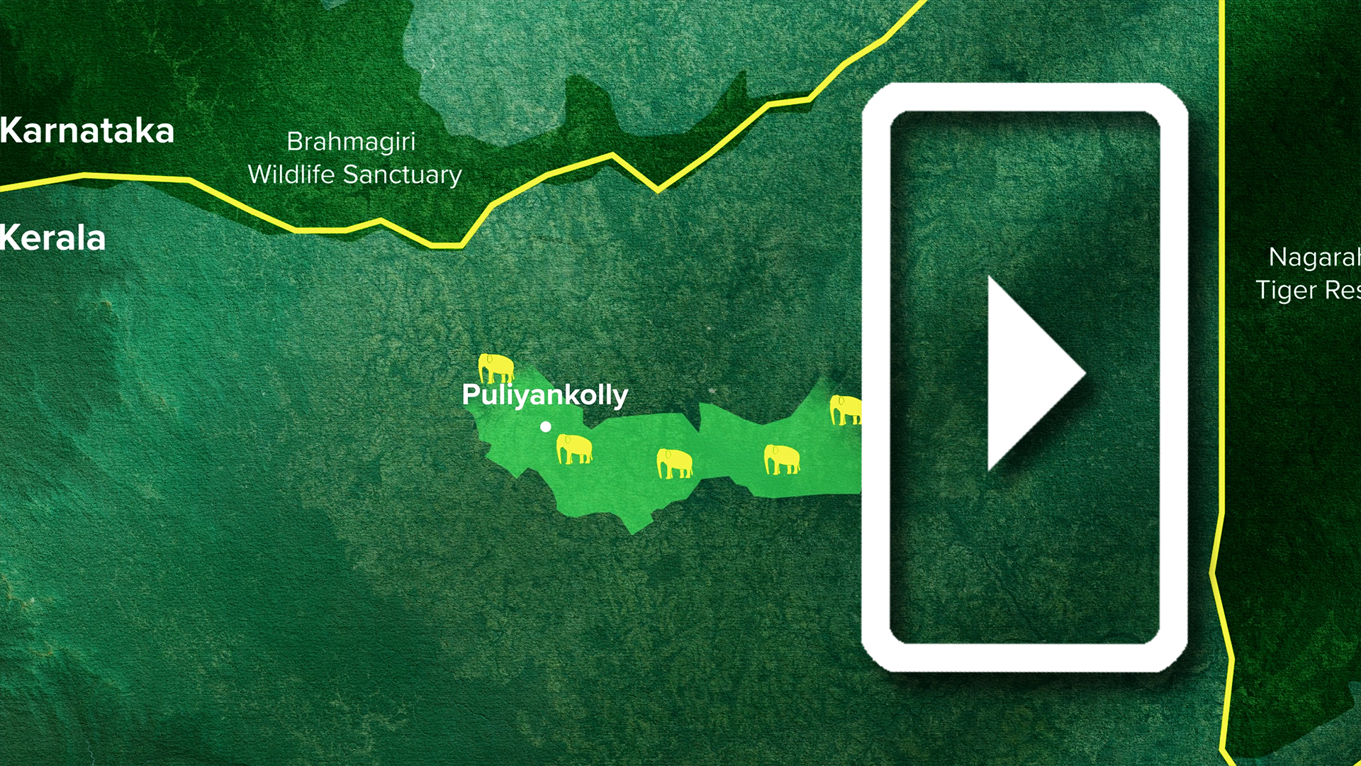 Protecting One of India’s Largest Wildlife Corridors