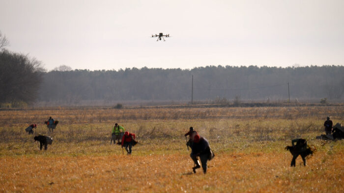 Undoing the Damage of Large-scale Animal Agriculture - Wild Hope