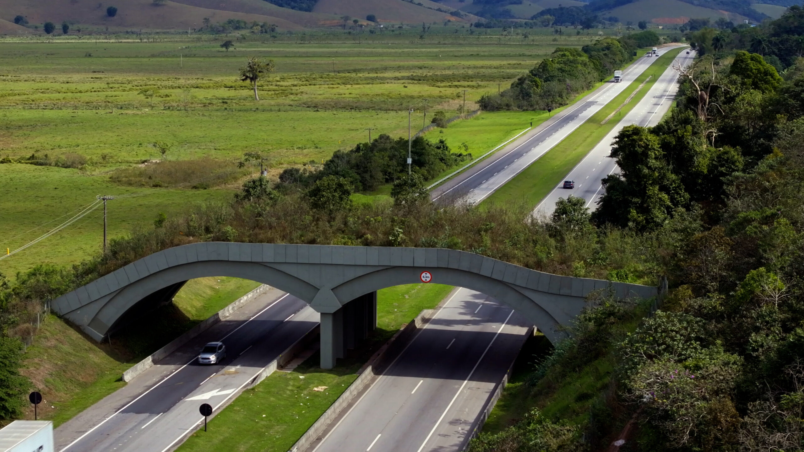 Wildlife crossings like this one in Brazil make roads safer for both people and wildlife.