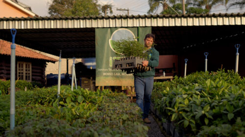 Mauricio founded ITPA to help reforest a cleared section of the Atlantic Forest.